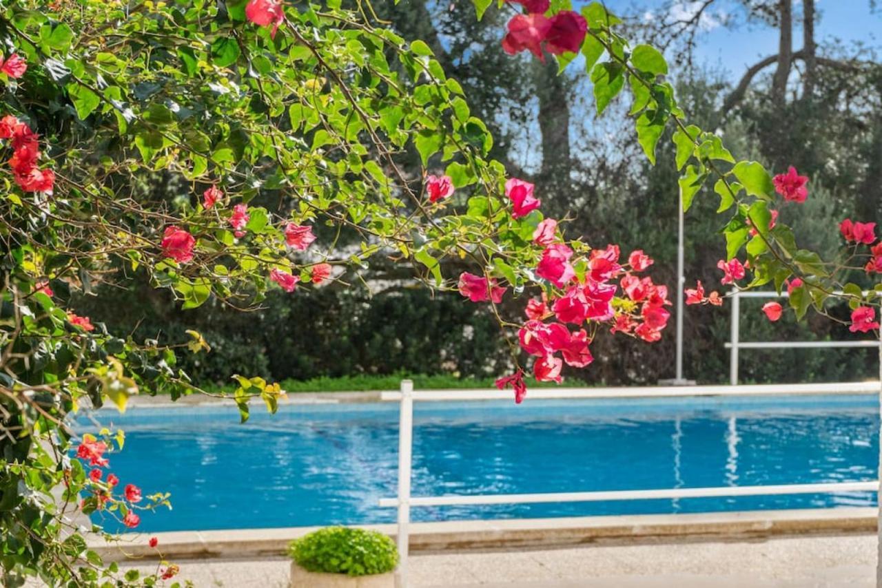 Apartamento Cap Roig Бинибека Екстериор снимка